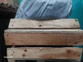 Packing Kayu Preloved