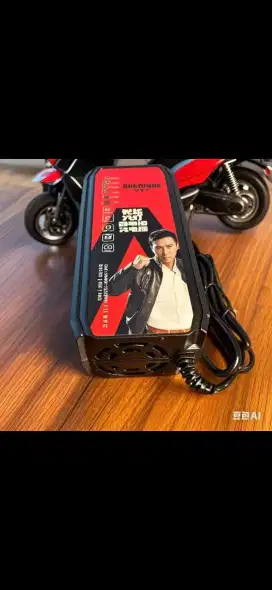 Smart charger sepeda / motor listrik  led cut off dongyu6d