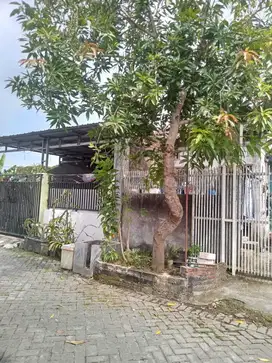 Dijual Rumah Murah Perum Grand Kedamean Regency - Gresik