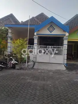 Rumah Puri Safira Regency Gresik 1 Lantai