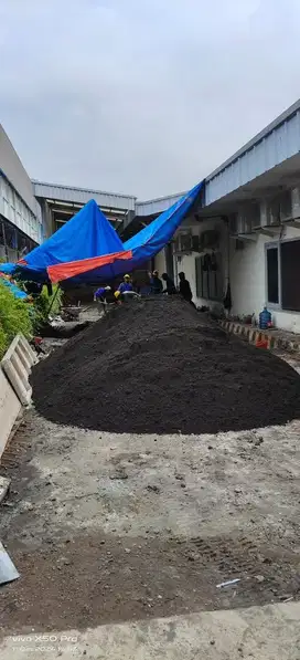 Pasir Lumajang Asli
