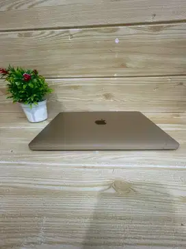 Macbook Retina 12inch 2017 8/512