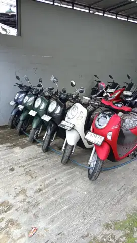 All new honda scoopy prestige bergaransi mesin