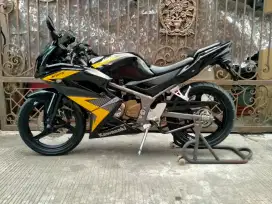 Kawasaki RR muluss