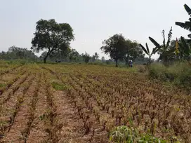 Lahan Tanah Luas Strategis Dikawasan Parung S8196