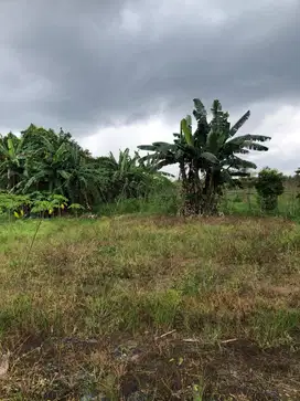 dijual tanah kebun bukit intan samping bandara pangkal bangka belitung