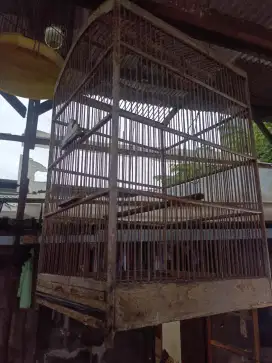 Kandang nomor 1/2 gede