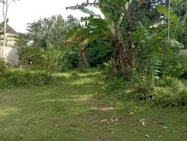 Jual tanah dekat bobotsari purbalingga jawa tengah