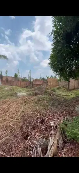 !TANAH TERJUN BEBAS DARI 150 JT KE 85 JT di Kapau Sari, Pekanbaru
