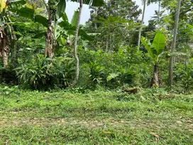 Tanah Datar Murah 500m 175Jt Jenawi Karanganyar