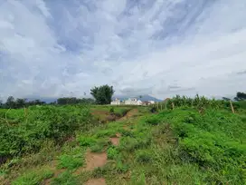 Tanah Kavling dekat UIN 3 Kedokteran, Malang