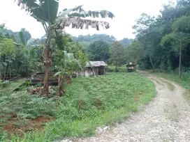 Tanah Kavling Ciampea Kab Bogor, 1-jtan Permeter Dekat IPB Dramaga