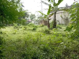 Tanah dijual mrebet purbalingga jawa tengah