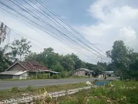 Tanah dijual di rembang jawa tengah, tanah murah di rembang