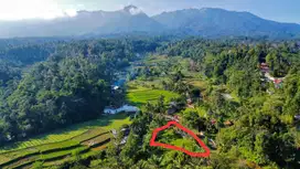 Tanah Kebun Durian Ada Air Mengalir Bojong Purwakarta Dijual Murah
