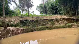 Dijual Murah Tanah 1174 m2 Kios Kebun + Kolam Ikan Bojong Purwakarta