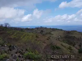 Tanah Cocok Untuk Restoran Di Nusa Penida PS0210