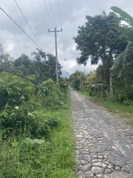 Tanah dijual Bandungan, Jawa Tengah, cocok untuk perkebunan / villa