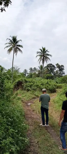 Dijual Tanah 2 Hektar Nempel Jalan Raya Utama Cisauk-Maloko Tangerang