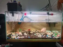 Aquarium 60*30*40