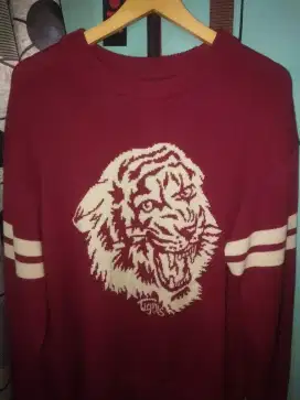 Hodie/Sweater Tigers