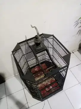 Sangkar segi enam bekas murai ukuran 56