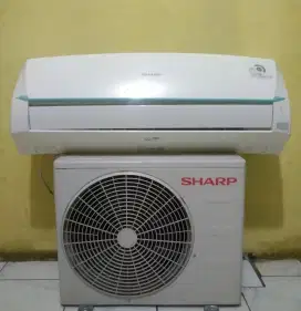AC Sharp 1/2 PK