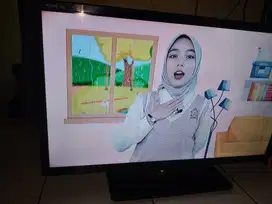 Tv polytron no minus