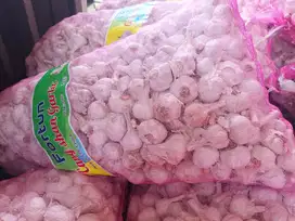 JUAL BAWANG PUTIH DAN BOMBAY