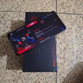 RoG Phone2 Mulus Nominus