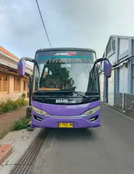Bus High Decker
