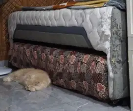 KASUR 2 TINGKAT ELITE