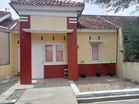 Rumah Readu murah di Mranggen demak