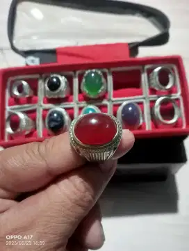 Raflesia, ring 8,