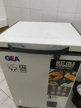 Freezer GEA 100L