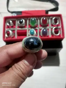 Fosil galih kayu, ring 8