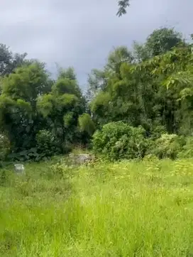 Tanah Di Lokasi Strategis Samping Wisata Park Zoo Lembang