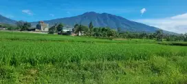 Dijual Cepat lahan vila kolam Renang lg BU