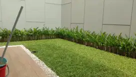 Tukang taman murah