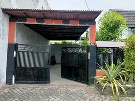 Grand Deltasari Catteleya Murah