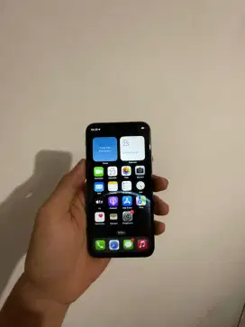 Iphone x 256gb all operator