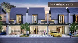 Tipe Cattleya 75/72