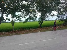 Tanah industri sragen