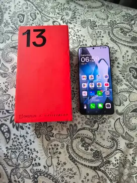 OnePlus 13 RAM 24GB Storage 1TB