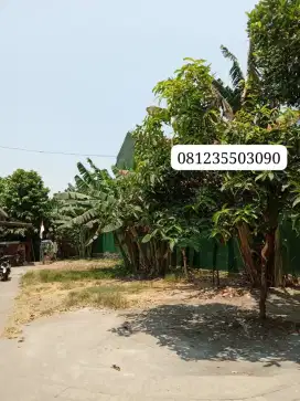 Dijual tanah pribadi panjunan Sukodono ( BUYER ONLY )