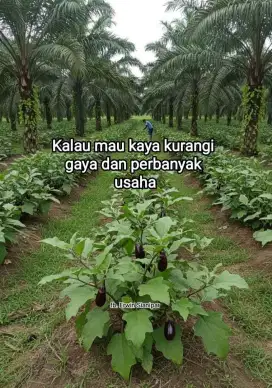 Info loker di daerah Jaktim
