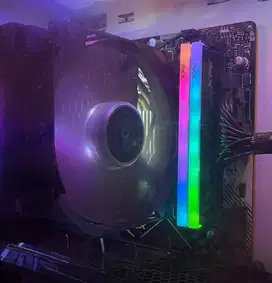 Bundle Ryzen 5600 + B450M HDV + RAM 32GB 3200MT/S XPG