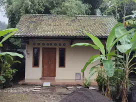 Kontrakan 2 Kamar dekat dengan Kampus ISI, UMY
Dan UAA