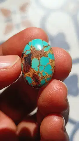 Pirus Persia Urat Emas Indah Full daging atas bawah