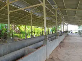 Dijual Tanah Nanggung bogor Luas 4500 mtr siap pakai